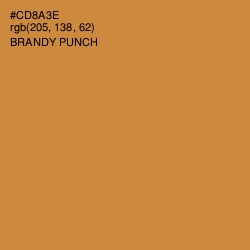 #CD8A3E - Brandy Punch Color Image